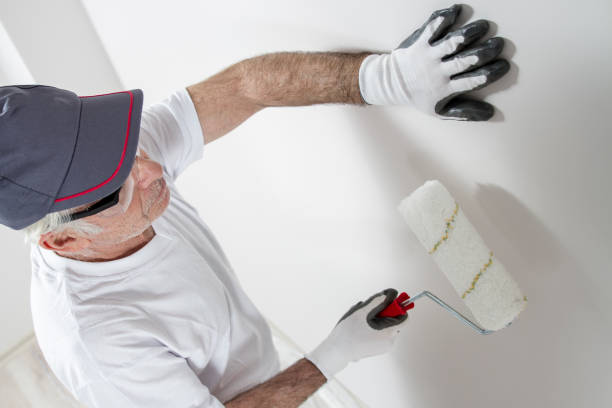 Best Comprehensive Air Testing for Mold Contaminants  in Nashville, MI