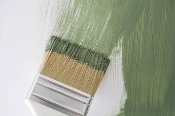 Best Mold Remediation for Vacation Homes  in Nashville, MI