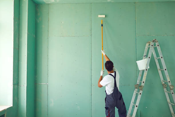 Best Post-Construction Mold Inspection  in Nashville, MI