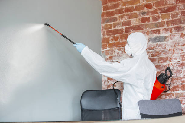 Best Airborne Mold Testing  in Nashville, MI