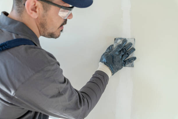 Best Mold-Related Health Consultation  in Nashville, MI