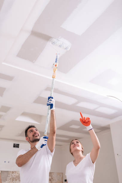 Best Mold Damage Restoration  in Nashville, MI