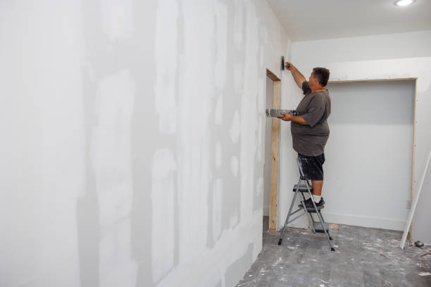 Forensic Mold Investigation in Nashville, MI