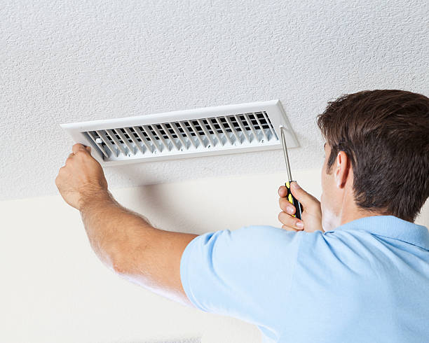 Best Mold Odor Removal Services  in Nashville, MI