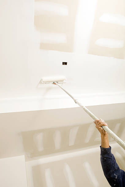 Best HVAC Mold Inspection and Cleaning  in Nashville, MI