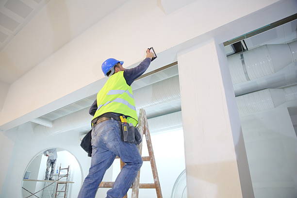 Best Mold Prevention Services  in Nashville, MI