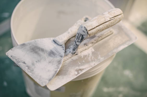 Best Biohazard Mold Removal  in Nashville, MI